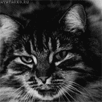 Аватара пользователя