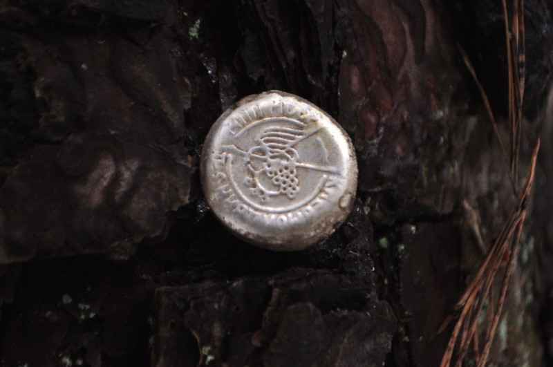 CSC_6413.JPG