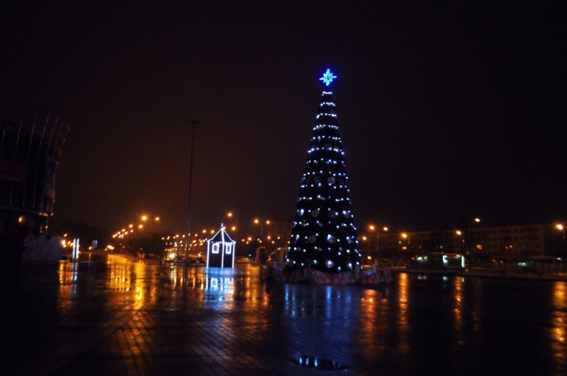 CSC_6413.JPG