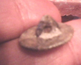 IMG0184A.jpg