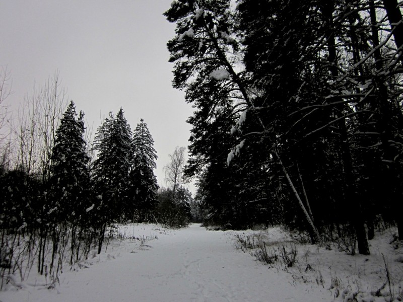 IMG_6690.JPG