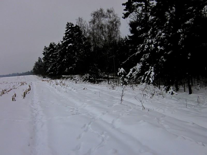 IMG_6714.JPG
