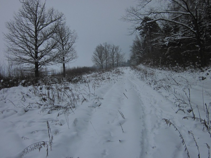 IMG_6717.JPG