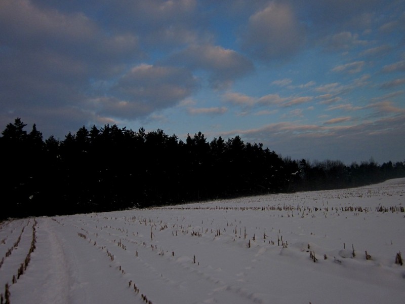 IMG_6741.JPG