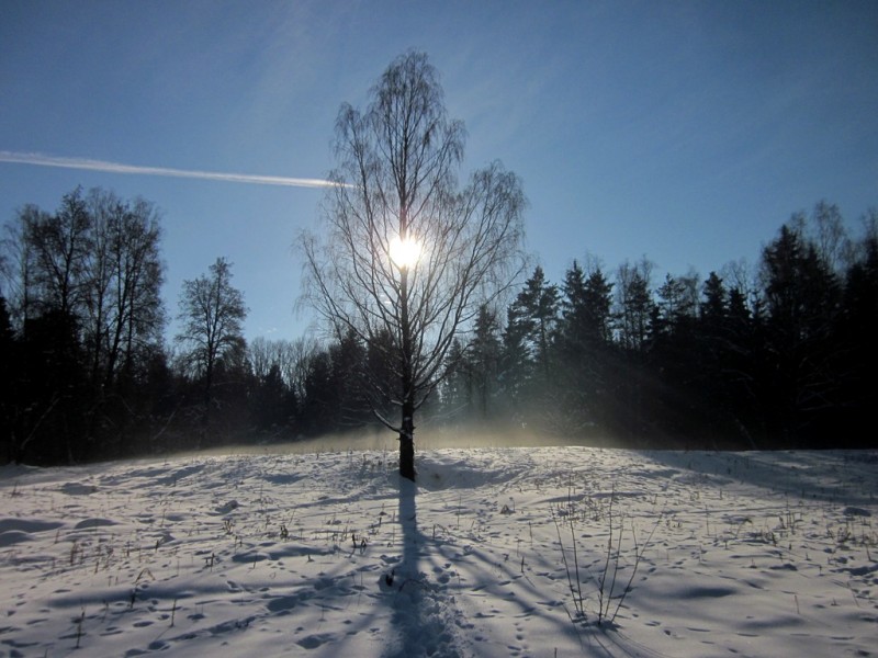 IMG_6763.JPG