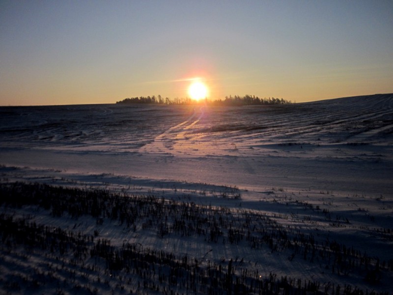 IMG_6790.JPG