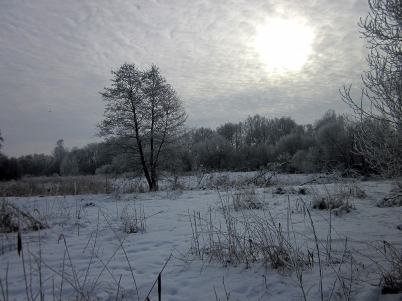 IMG_6819.JPG