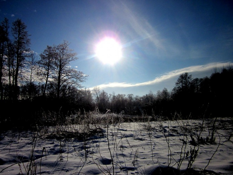 IMG_6830.JPG