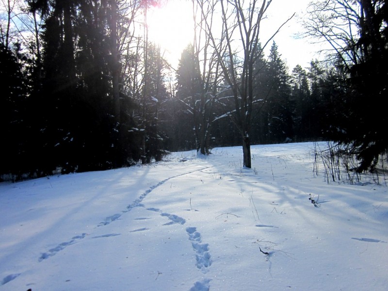 IMG_6859.JPG
