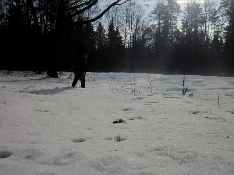 IMG_6926.JPG