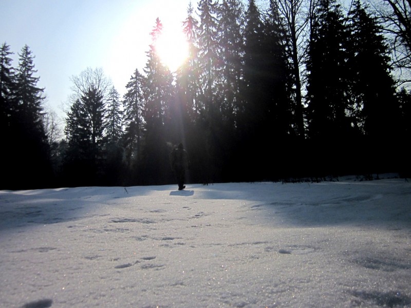 IMG_7039.JPG