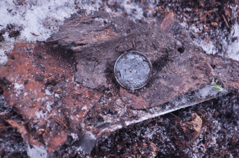 CSC_6481.JPG