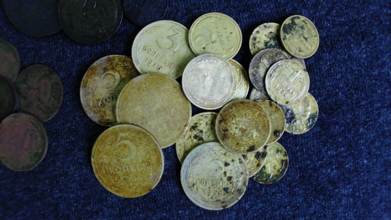 DSCI1787.JPG