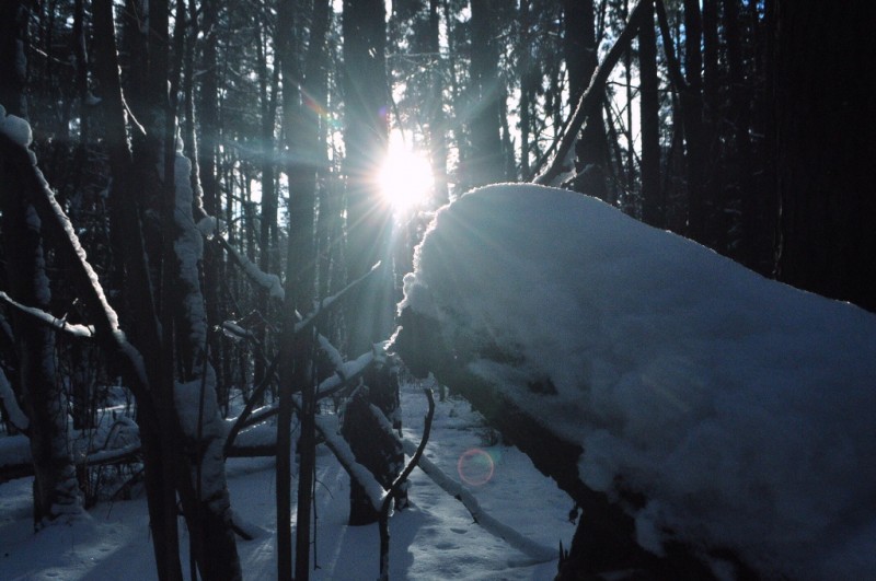 CSC_6500.JPG