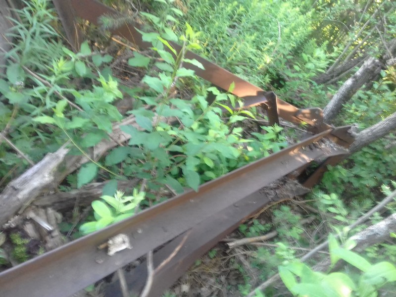 20210630_080649-min.jpg