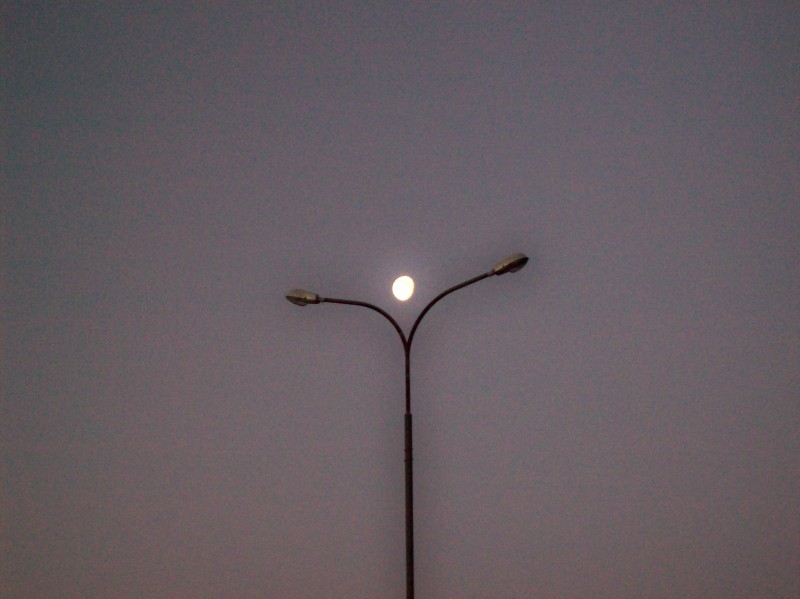 118_0515.JPG