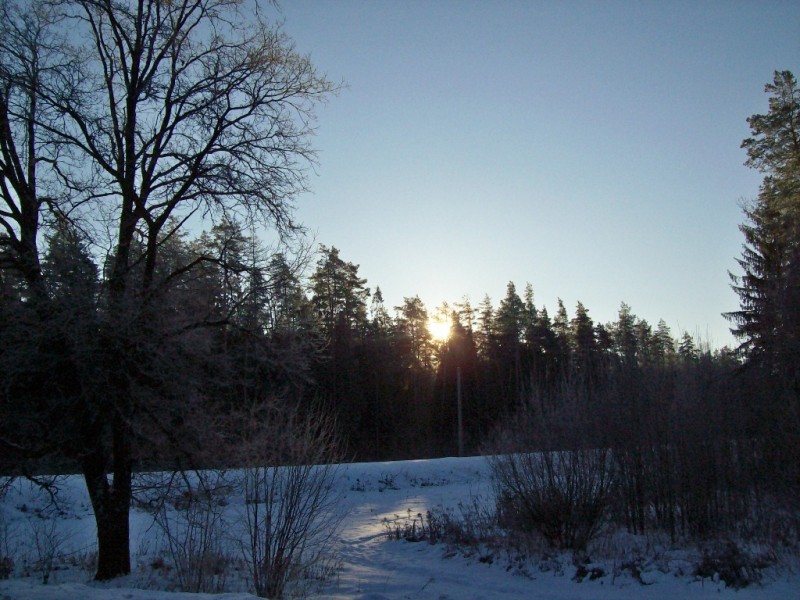 118_0526.JPG