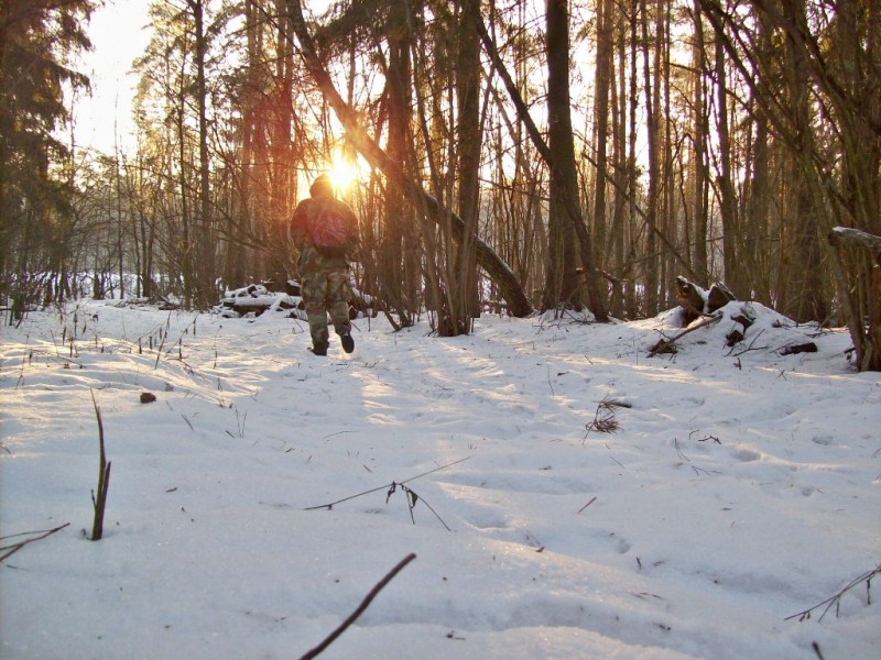 118_0523.JPG