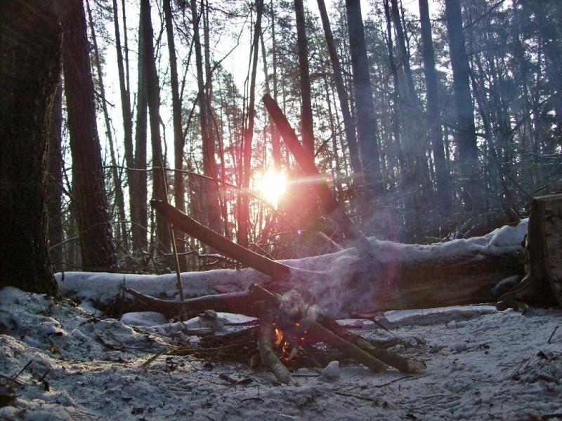 118_0509.JPG