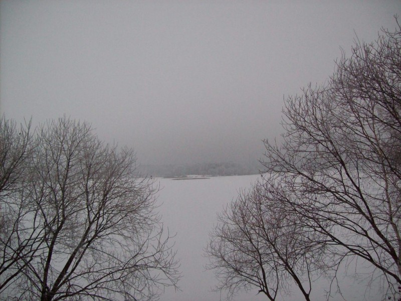 118_0554.JPG