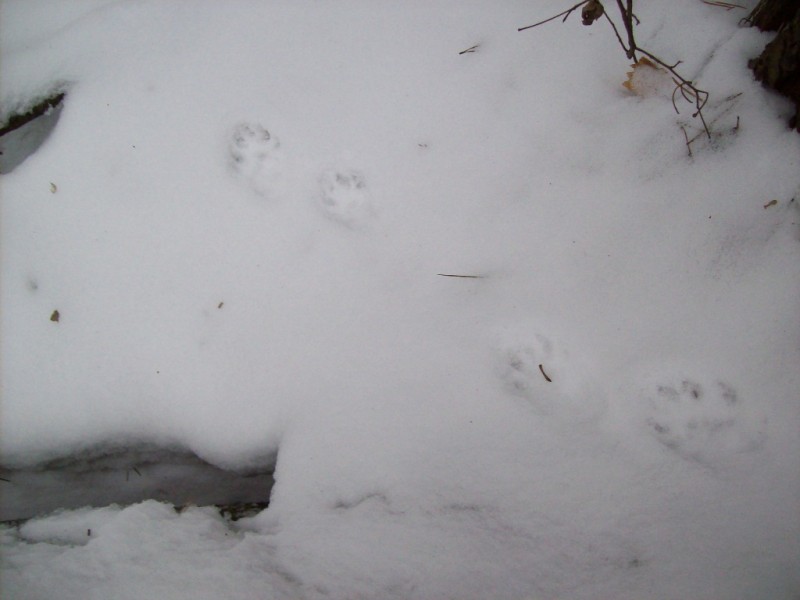 118_0556.JPG