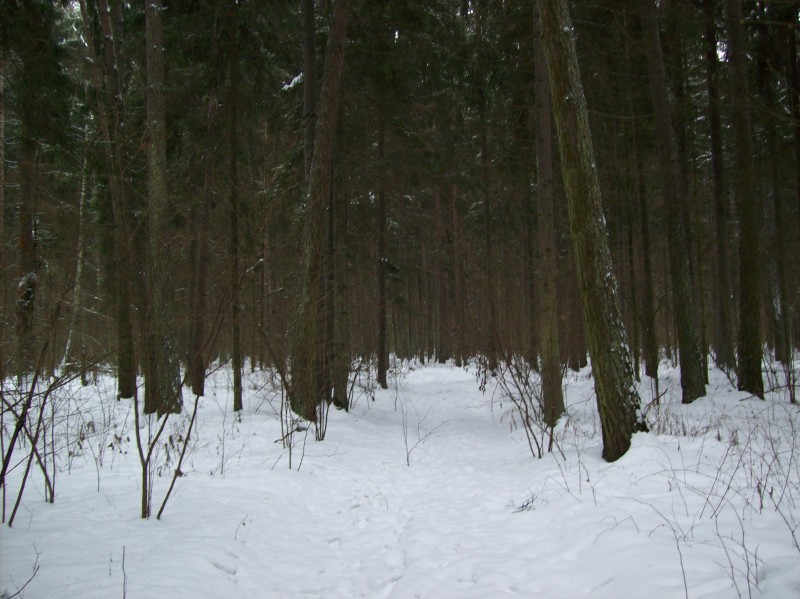 118_0576.JPG