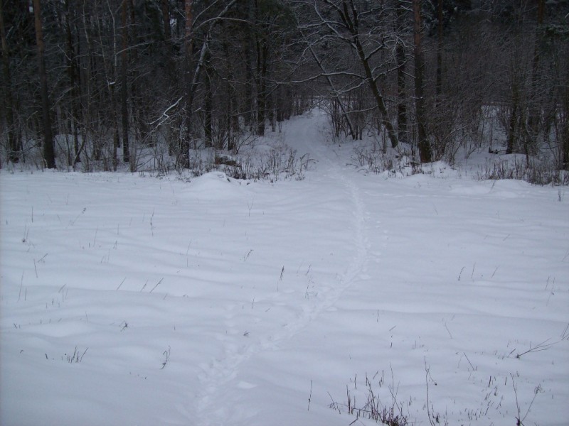 118_0607.JPG