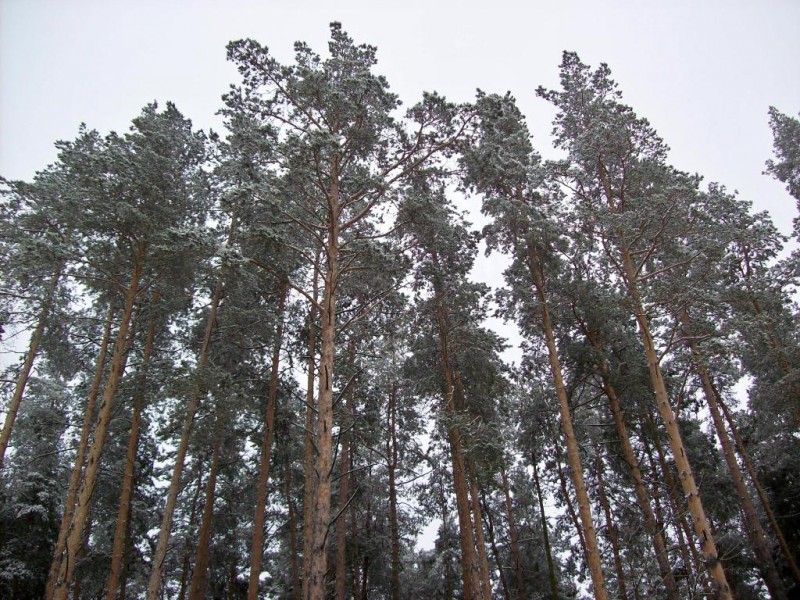 118_0608.JPG
