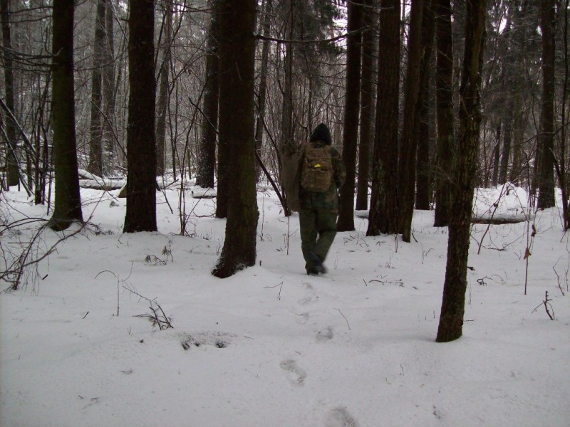 118_0618.JPG