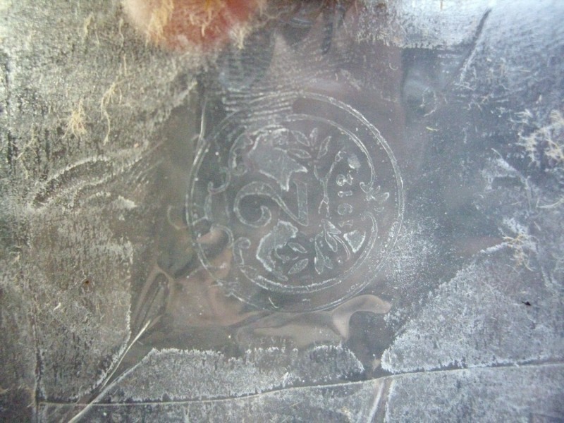 IMGP9483.JPG