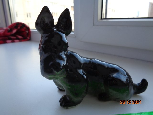 DSC02453.JPG