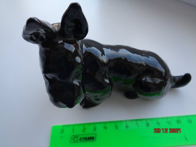 DSC02454.JPG