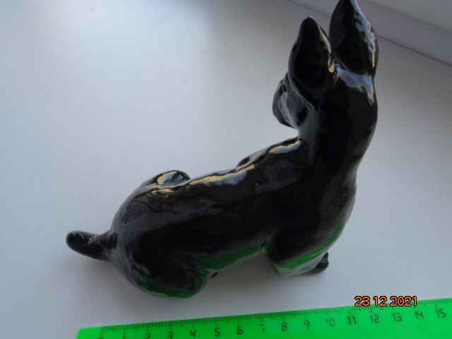 DSC02455.JPG
