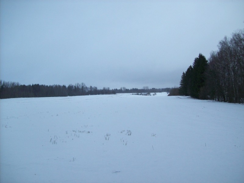 101_0015.JPG