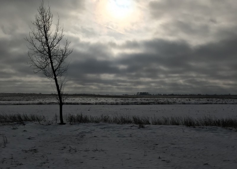 9D058C5C-E886-476E-8ECE-0D37154FEC77.jpeg