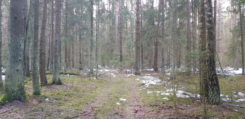 20190216_173541.jpg