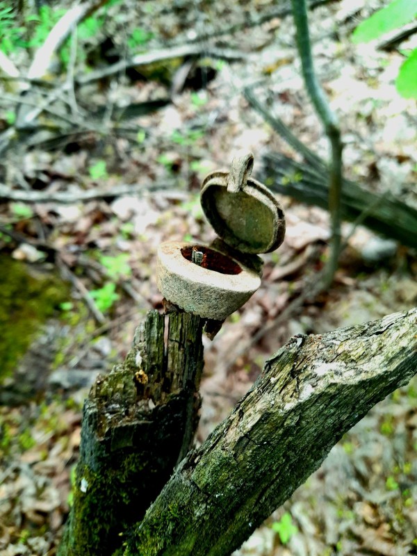 20220604_122804.jpg
