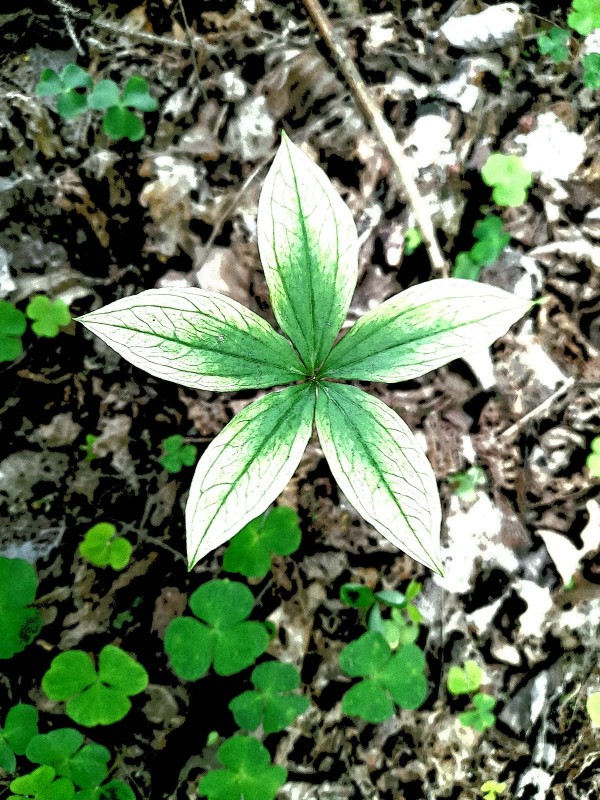 20220604_124818.jpg