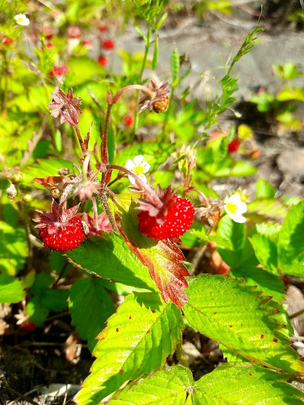 20220619_105200.jpg