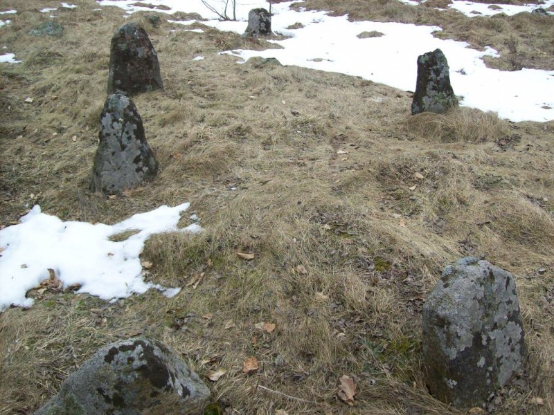 101_0172.JPG
