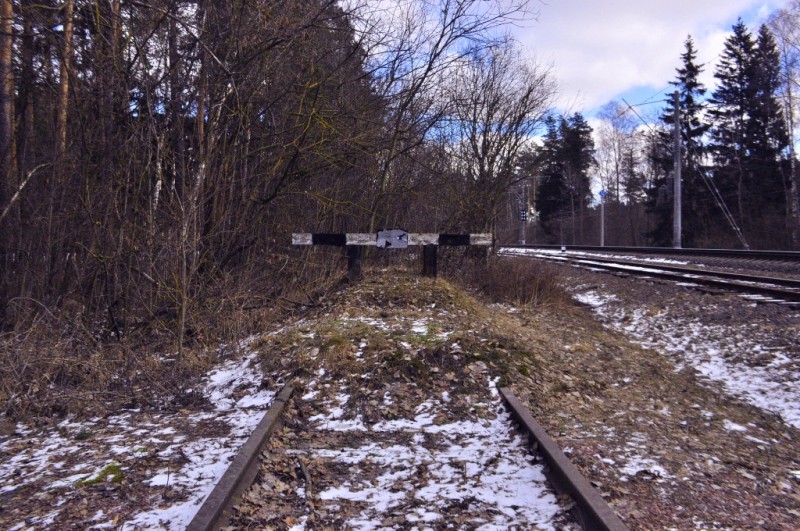 CSC_0043.JPG