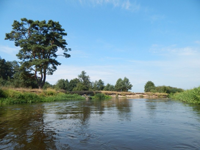 DSCN5132.JPG