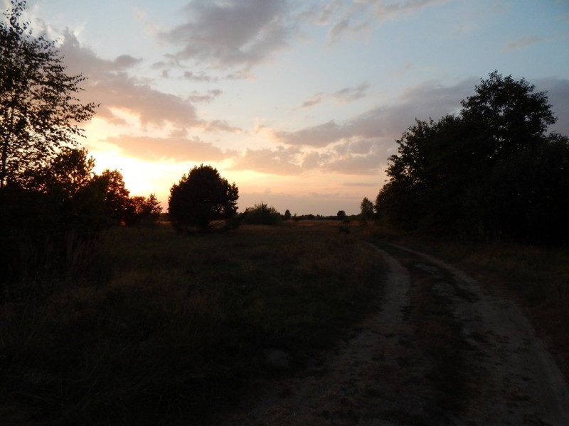 DSCN5186.JPG