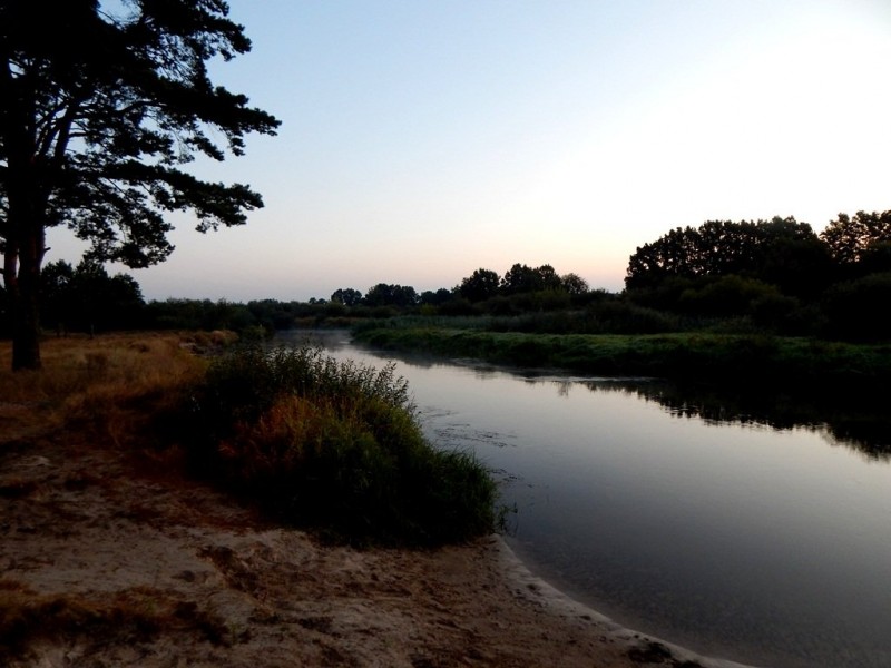 DSCN5221.JPG