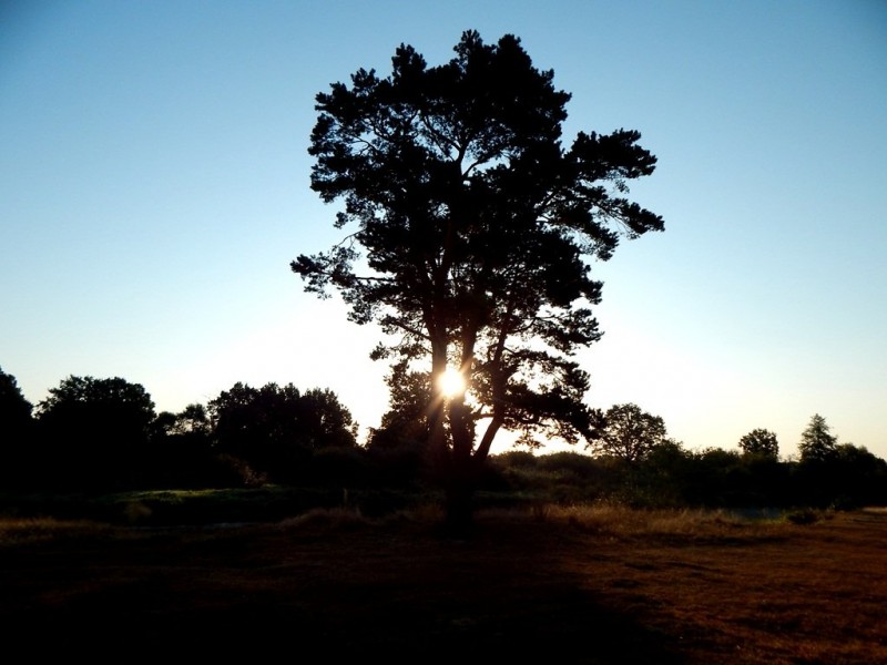 DSCN5241.JPG