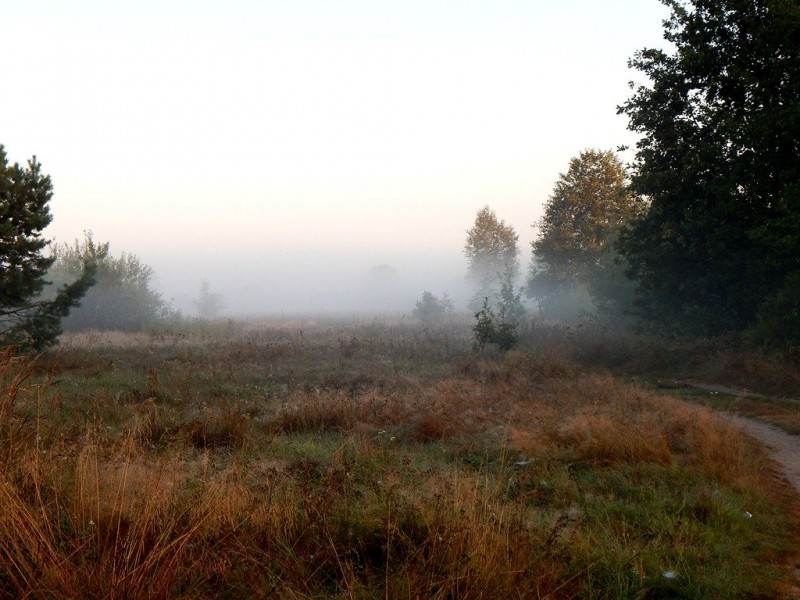 DSCN5233.JPG