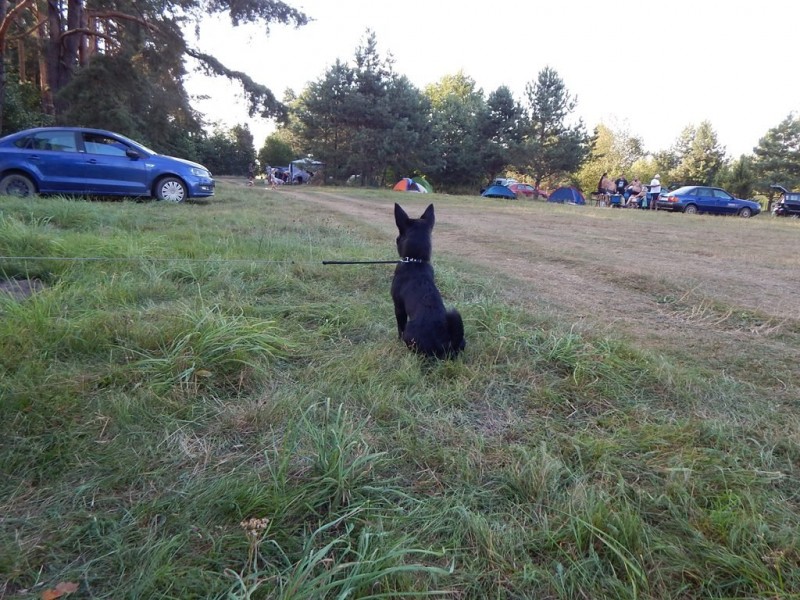 DSCN5330.JPG