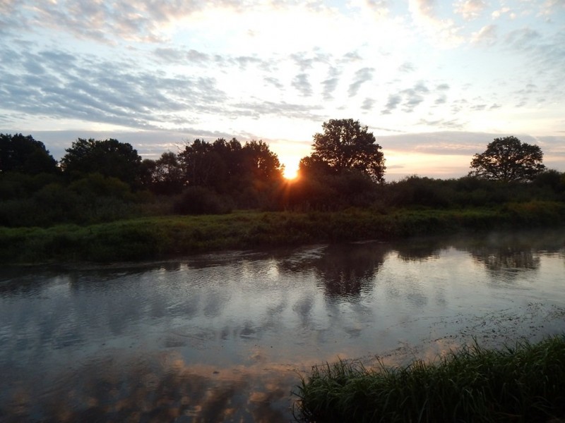 DSCN5363.JPG
