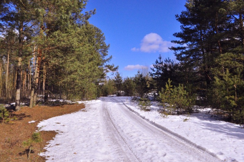 CSC_0071.JPG