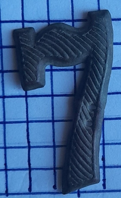 20220909_082021.jpg